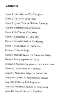 Preview: How to Play Go in AI Way?