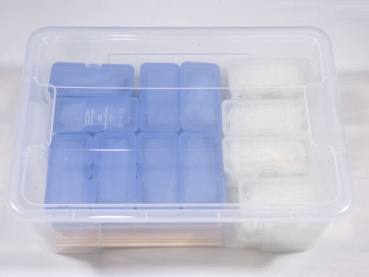 Preview: Workshop-Set 08