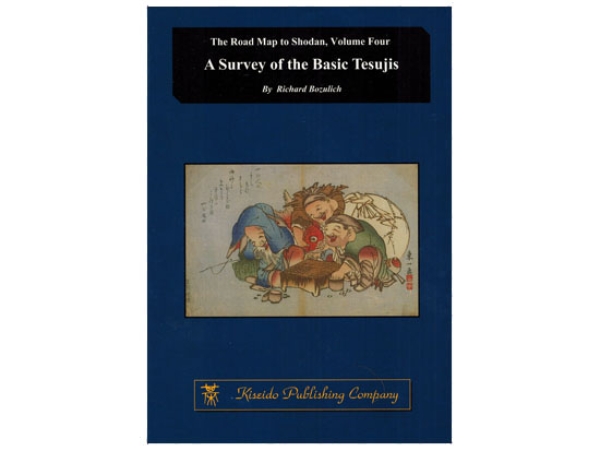 Roadmap to Shodan 4: Survey of the Basic Tesujis