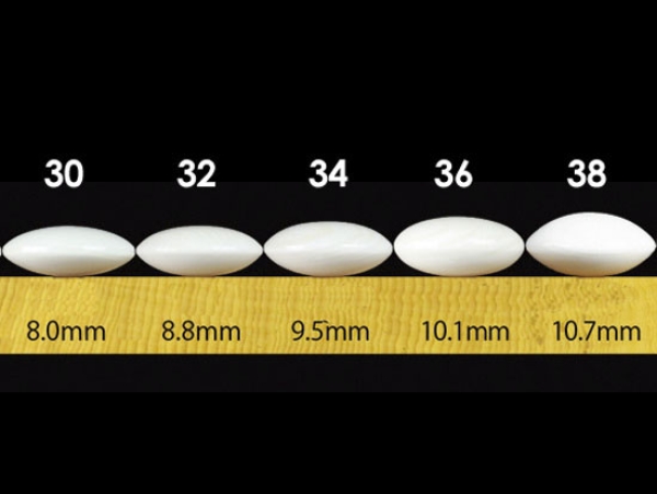 Schiefer- & Muschelkalk-Steine 38, Standard, 10,7 mm