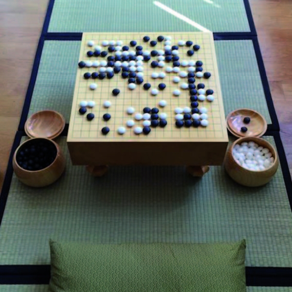 Kühlschrank-Magnete mit Go-Motiven